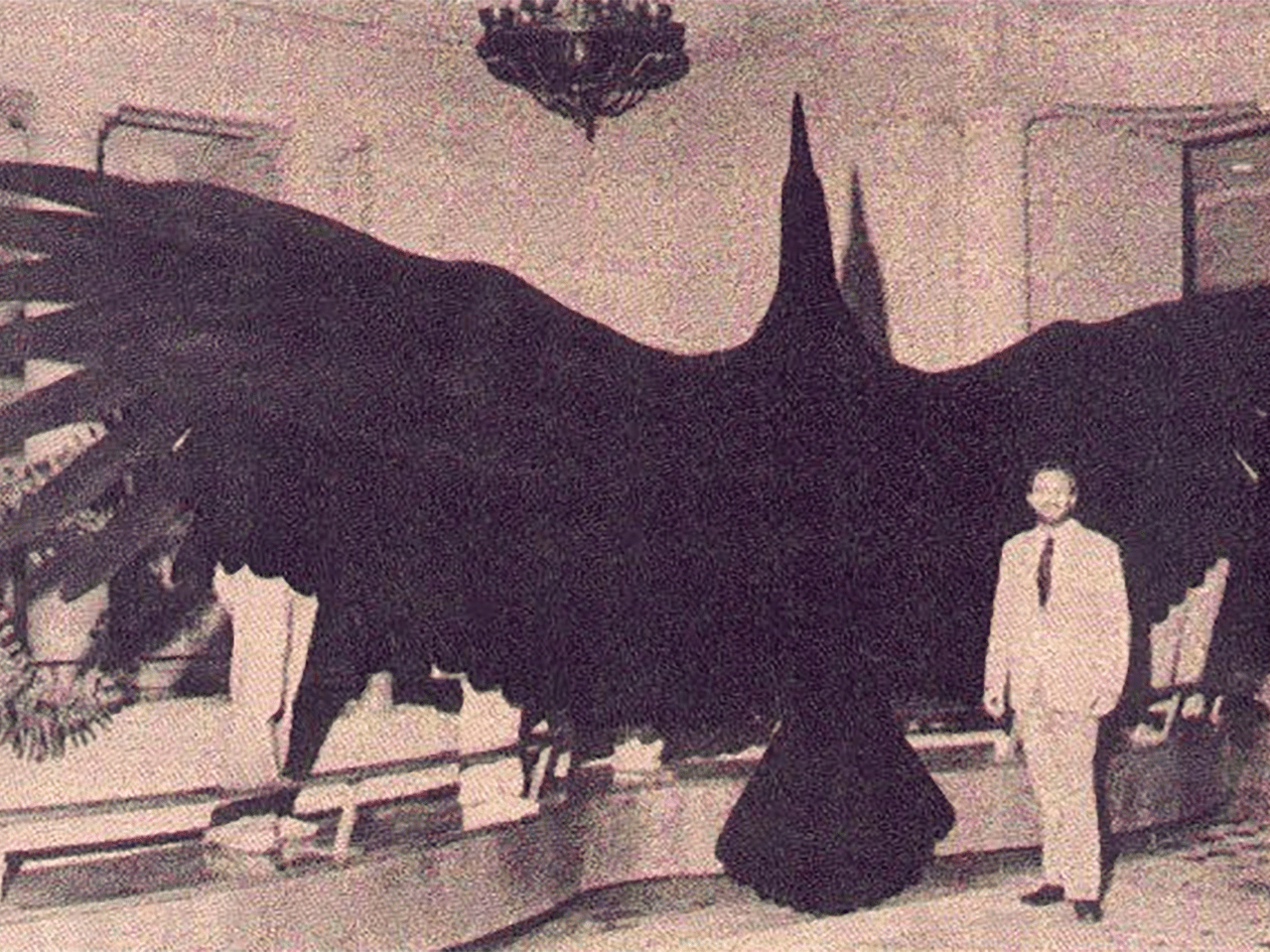 Thunderbird Size